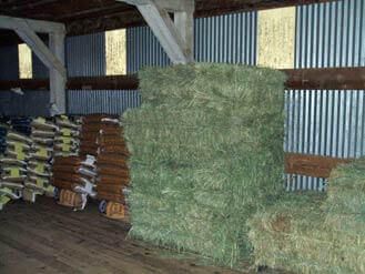 Feed & Hay