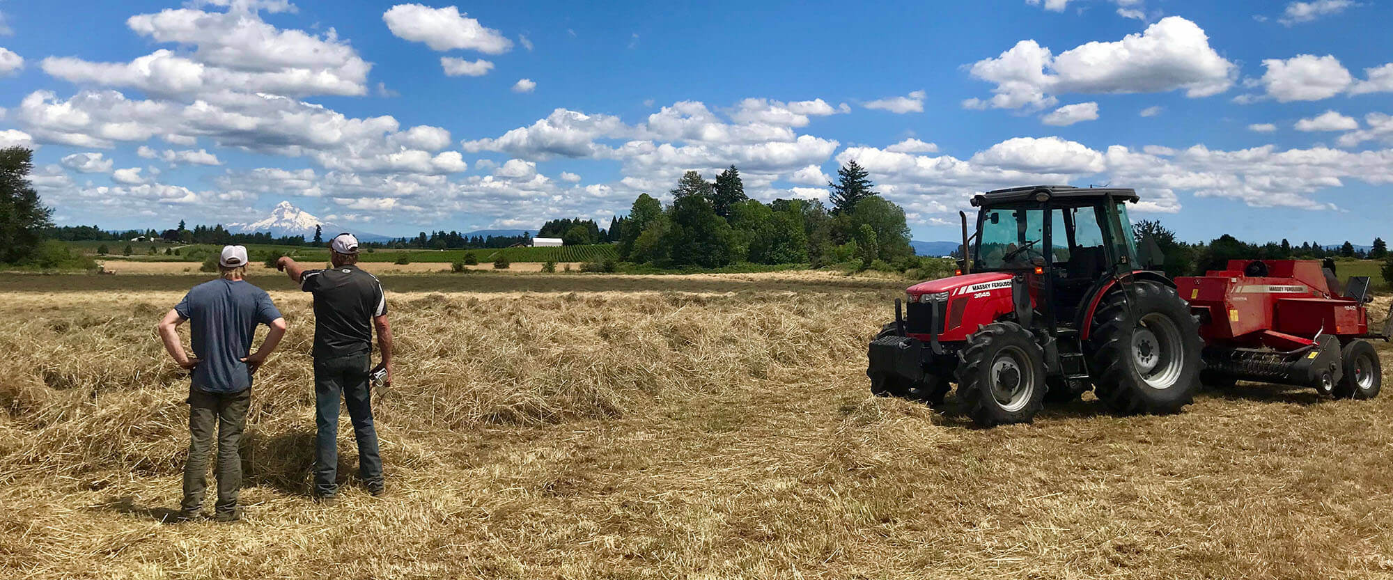 tractor in field